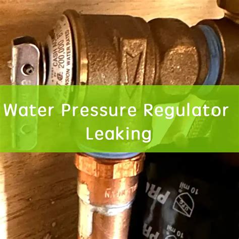 pressure regulator valve leaking|Why Is My Water Pressure Regulator Leaking: 8 Causes [Safety]